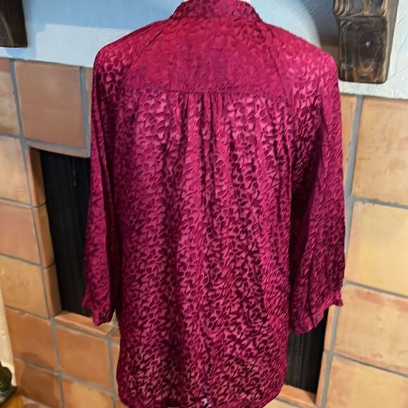 Anthropologie Susanna Burnout Velvet Buttondown, MP! - Picture 6 of 10